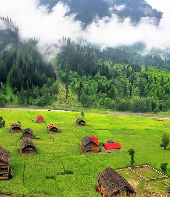 Kashmir